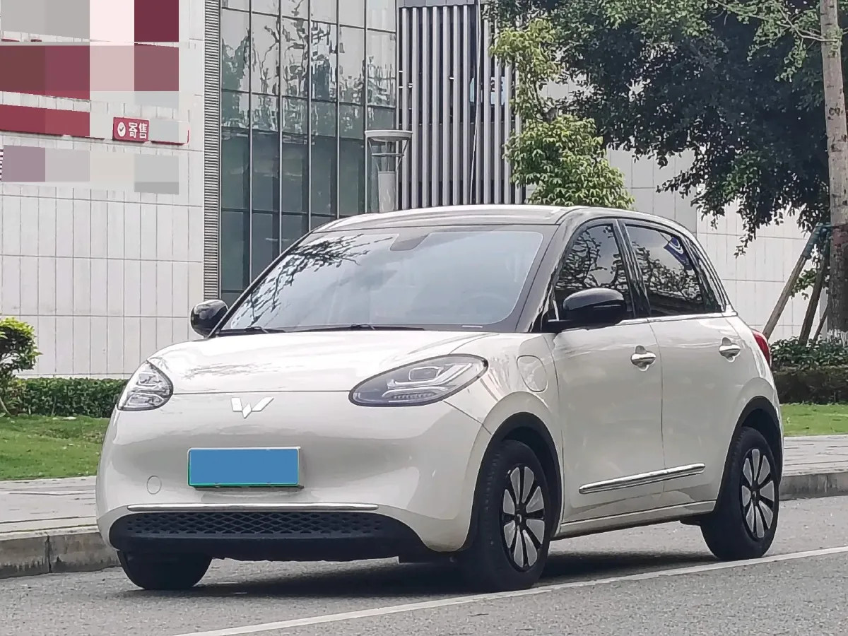 2023 WuLing BinGuo BEV 37.9KWH,autocango,china used car exporter,china ev exporter,chinese used car exporter,chinese used ev exporter