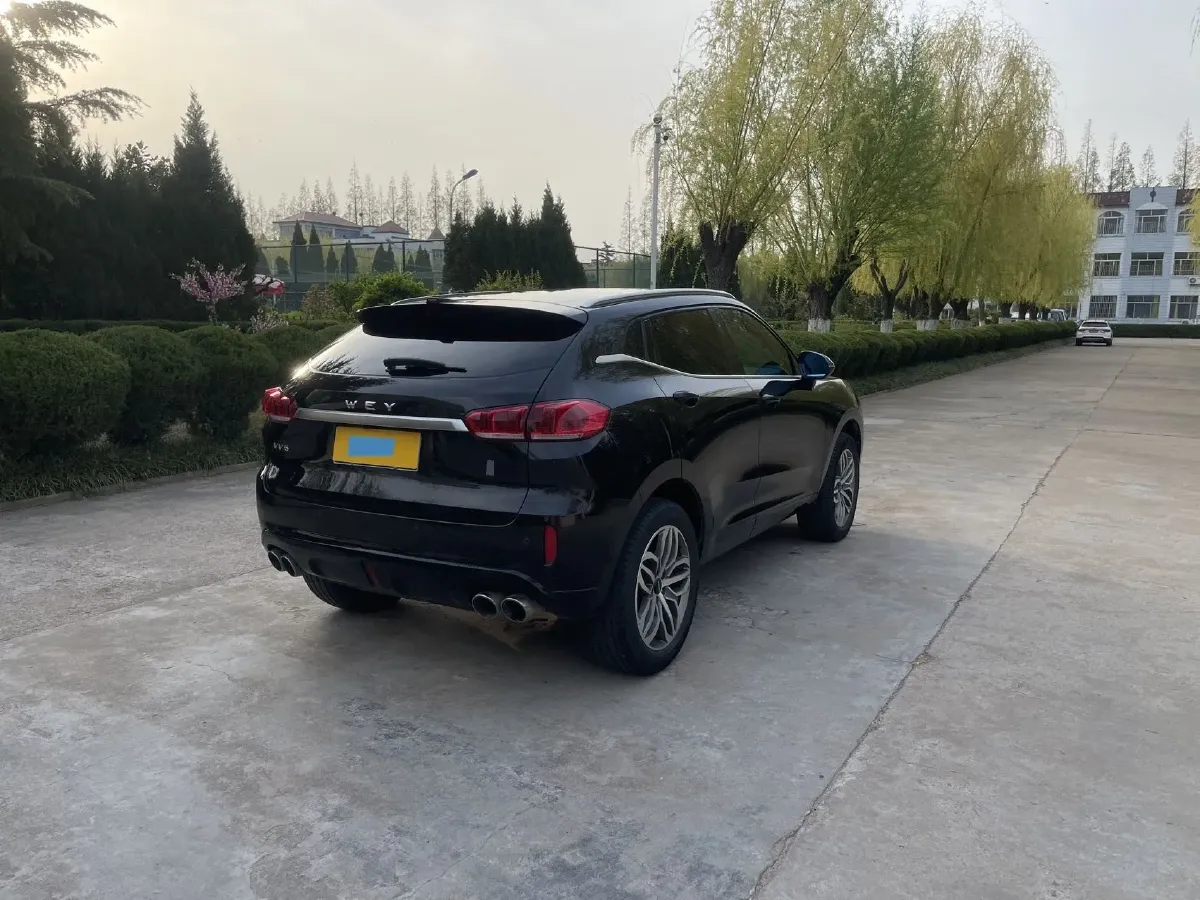 2019 WEY VV5 2.0T 224HP L4 7DCT,autocango,china used car exporter,china ev exporter,chinese used car exporter,chinese used ev exporter