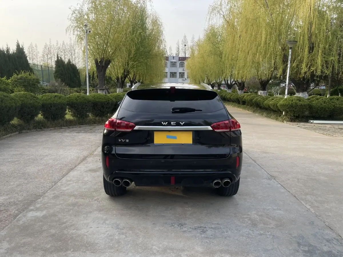 2019 WEY VV5 2.0T 224HP L4 7DCT,autocango,china used car exporter,china ev exporter,chinese used car exporter,chinese used ev exporter