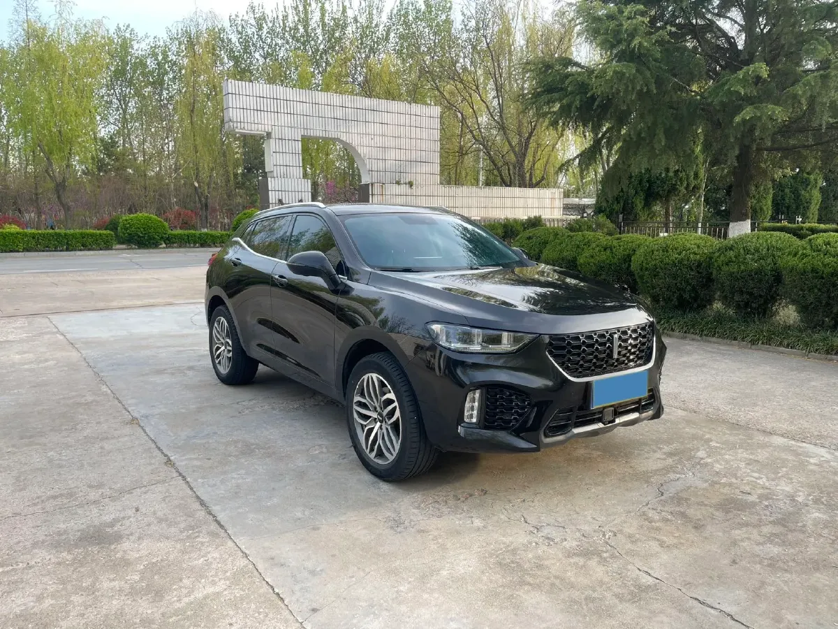 2019 WEY VV5 2.0T 224HP L4 7DCT,autocango,china used car exporter,china ev exporter,chinese used car exporter,chinese used ev exporter