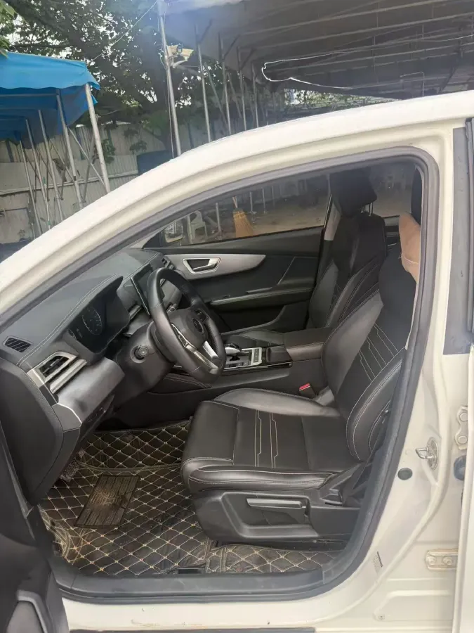 2019 BYD Qin BEV 53.1KWH,autocango,china used car exporter,china ev exporter,chinese used car exporter,chinese used ev exporter