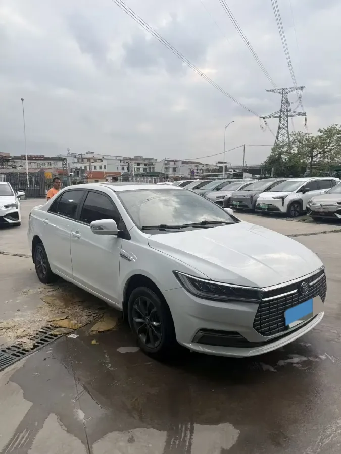 2019 BYD Qin BEV 53.1KWH,autocango,china used car exporter,china ev exporter,chinese used car exporter,chinese used ev exporter