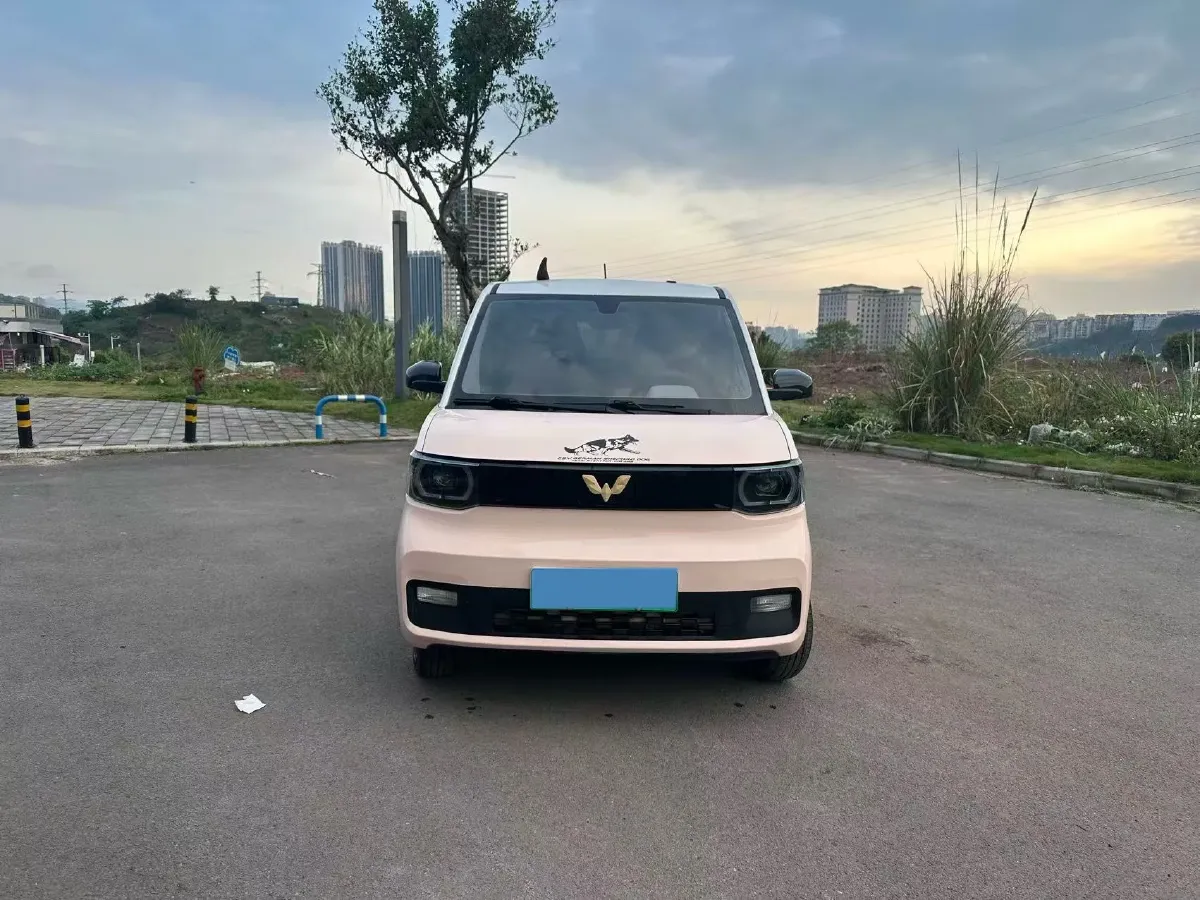 2020 WuLing HongGuang MINI EV BEV 13.8KWH,autocango,china used car exporter,china ev exporter,chinese used car exporter,chinese used ev exporter