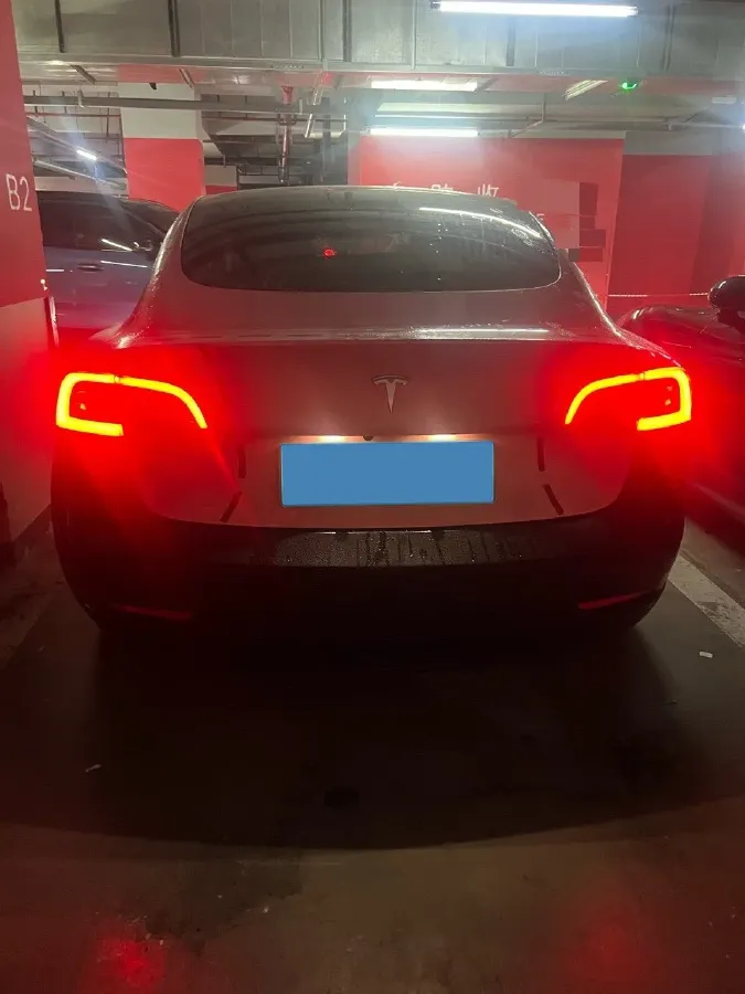 2020 Tesla Model 3 BEV 55KWH,autocango,china used car exporter,china ev exporter,chinese used car exporter,chinese used ev exporter