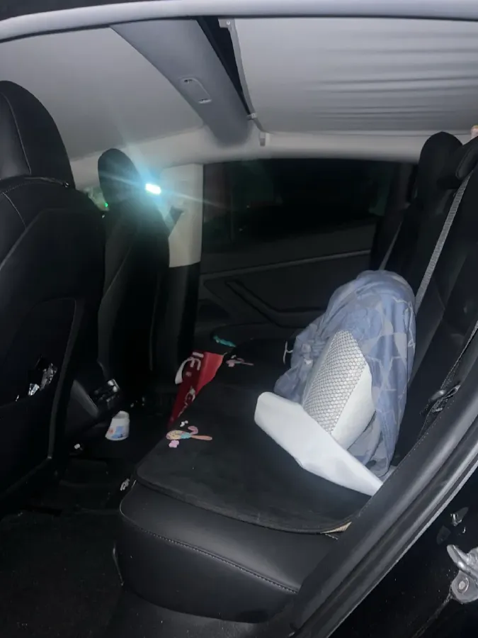 2020 Tesla Model 3 BEV 55KWH,autocango,china used car exporter,china ev exporter,chinese used car exporter,chinese used ev exporter