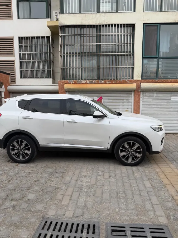 2021 Haval H6 2.0T 224HP L4 7DCT,autocango,china used car exporter,china ev exporter,chinese used car exporter,chinese used ev exporter