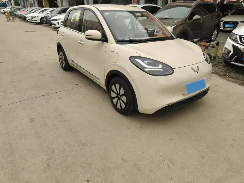 2025 WuLing BinGuo BEV,autocango,china used car exporter,china ev exporter,chinese used car exporter,chinese used ev exporter