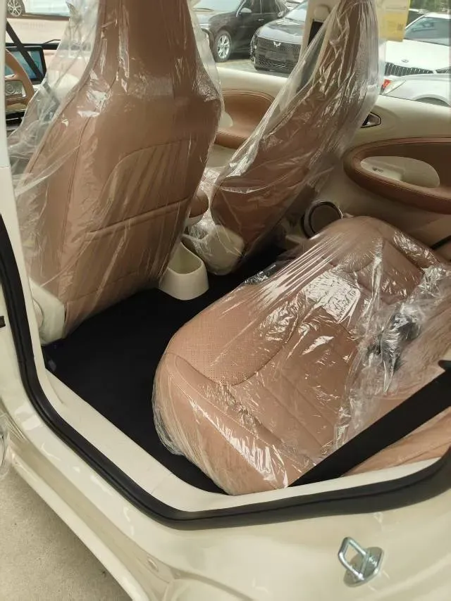 2025 WuLing BinGuo BEV,autocango,china used car exporter,china ev exporter,chinese used car exporter,chinese used ev exporter