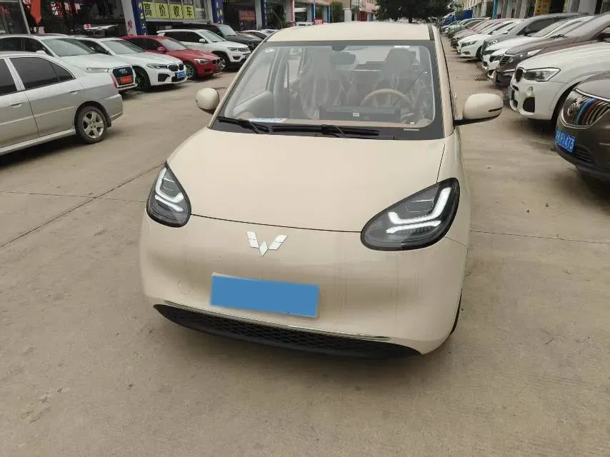 2025 WuLing BinGuo BEV,autocango,china used car exporter,china ev exporter,chinese used car exporter,chinese used ev exporter