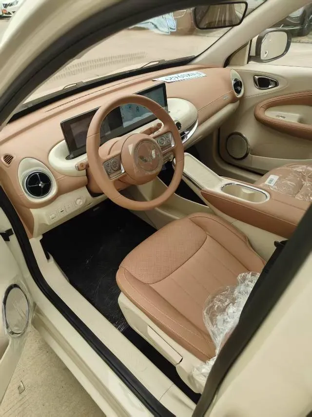 2025 WuLing BinGuo BEV,autocango,china used car exporter,china ev exporter,chinese used car exporter,chinese used ev exporter