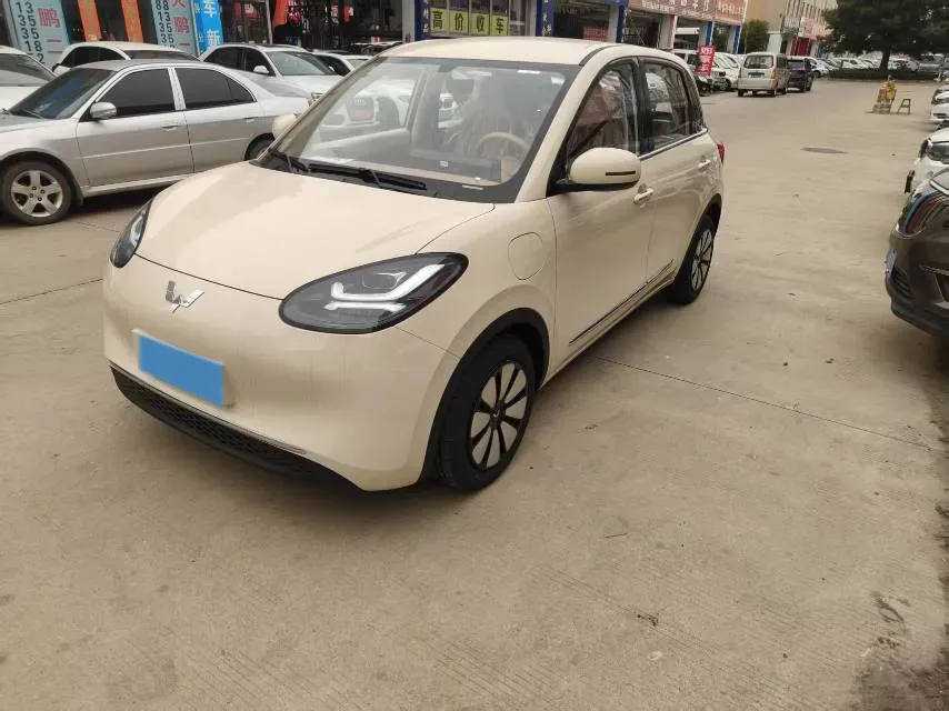 2025 WuLing BinGuo BEV,autocango,china used car exporter,china ev exporter,chinese used car exporter,chinese used ev exporter