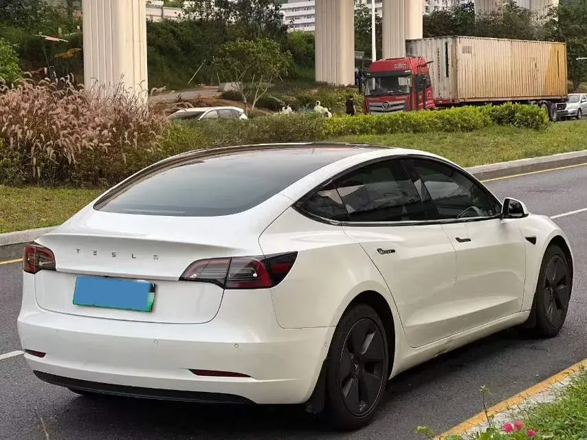 2021 Tesla Model 3 BEV 55KWH,autocango,china used car exporter,china ev exporter,chinese used car exporter,chinese used ev exporter