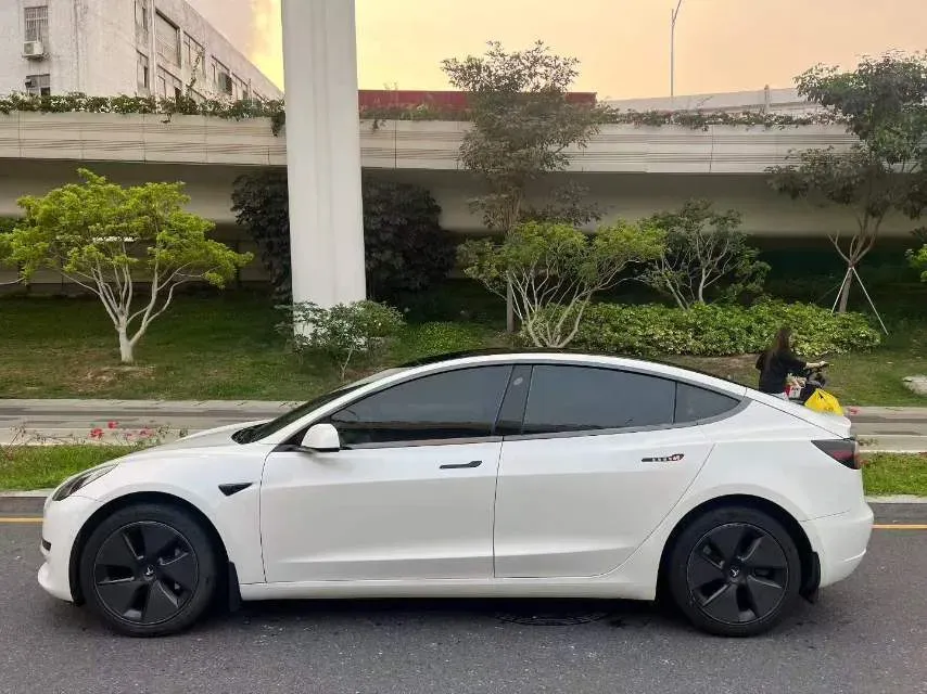 2021 Tesla Model 3 BEV 55KWH,autocango,china used car exporter,china ev exporter,chinese used car exporter,chinese used ev exporter