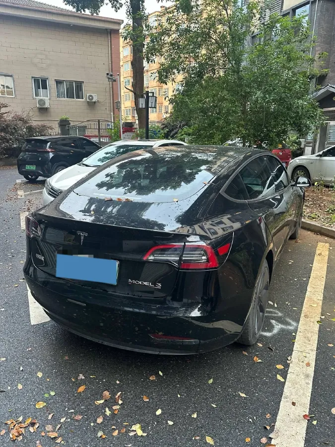 2022 Tesla Model 3 BEV 60KWH,autocango,china used car exporter,china ev exporter,chinese used car exporter,chinese used ev exporter