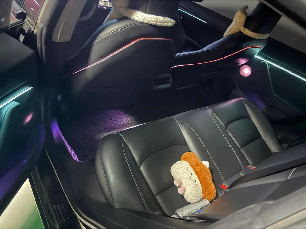 2021 Tesla Model 3 BEV 55KWH,autocango,china used car exporter,china ev exporter,chinese used car exporter,chinese used ev exporter