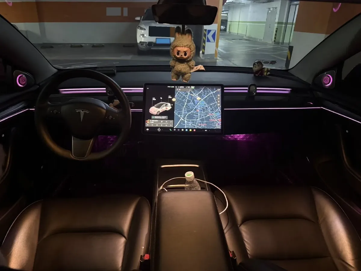 2021 Tesla Model 3 BEV 55KWH,autocango,china used car exporter,china ev exporter,chinese used car exporter,chinese used ev exporter