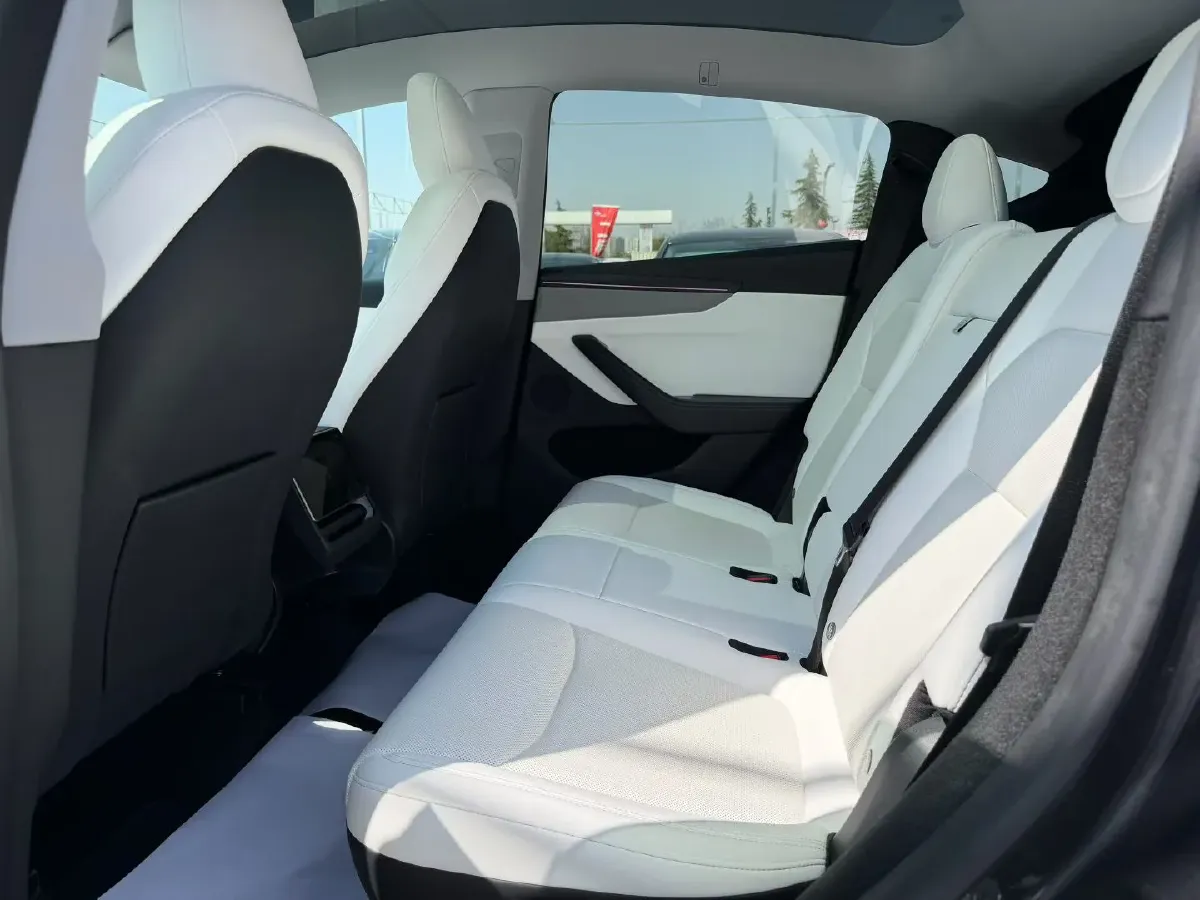 2025 Tesla Model Y BEV 62.5KWH,autocango,china used car exporter,china ev exporter,chinese used car exporter,chinese used ev exporter