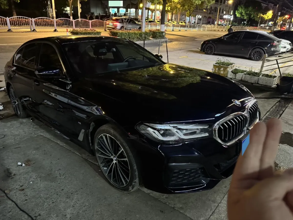 2021 BMW 5 Series 2.0T 252HP L4 8AT,autocango,china used car exporter,china ev exporter,chinese used car exporter,chinese used ev exporter