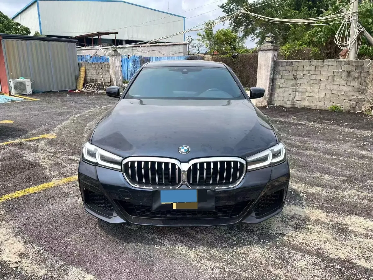 2021 BMW 5 Series 2.0T 184HP L4 8AT,autocango,china used car exporter,china ev exporter,chinese used car exporter,chinese used ev exporter