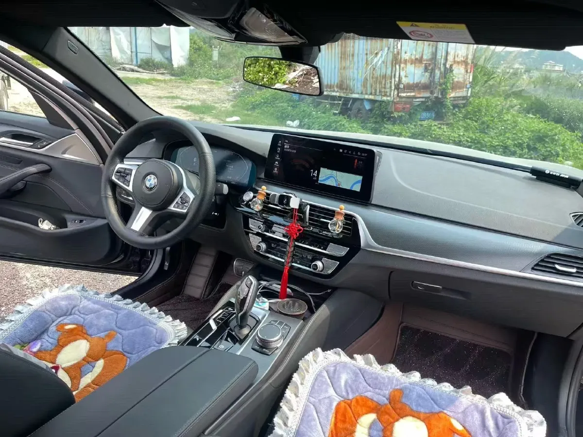 2021 BMW 5 Series 2.0T 184HP L4 8AT,autocango,china used car exporter,china ev exporter,chinese used car exporter,chinese used ev exporter