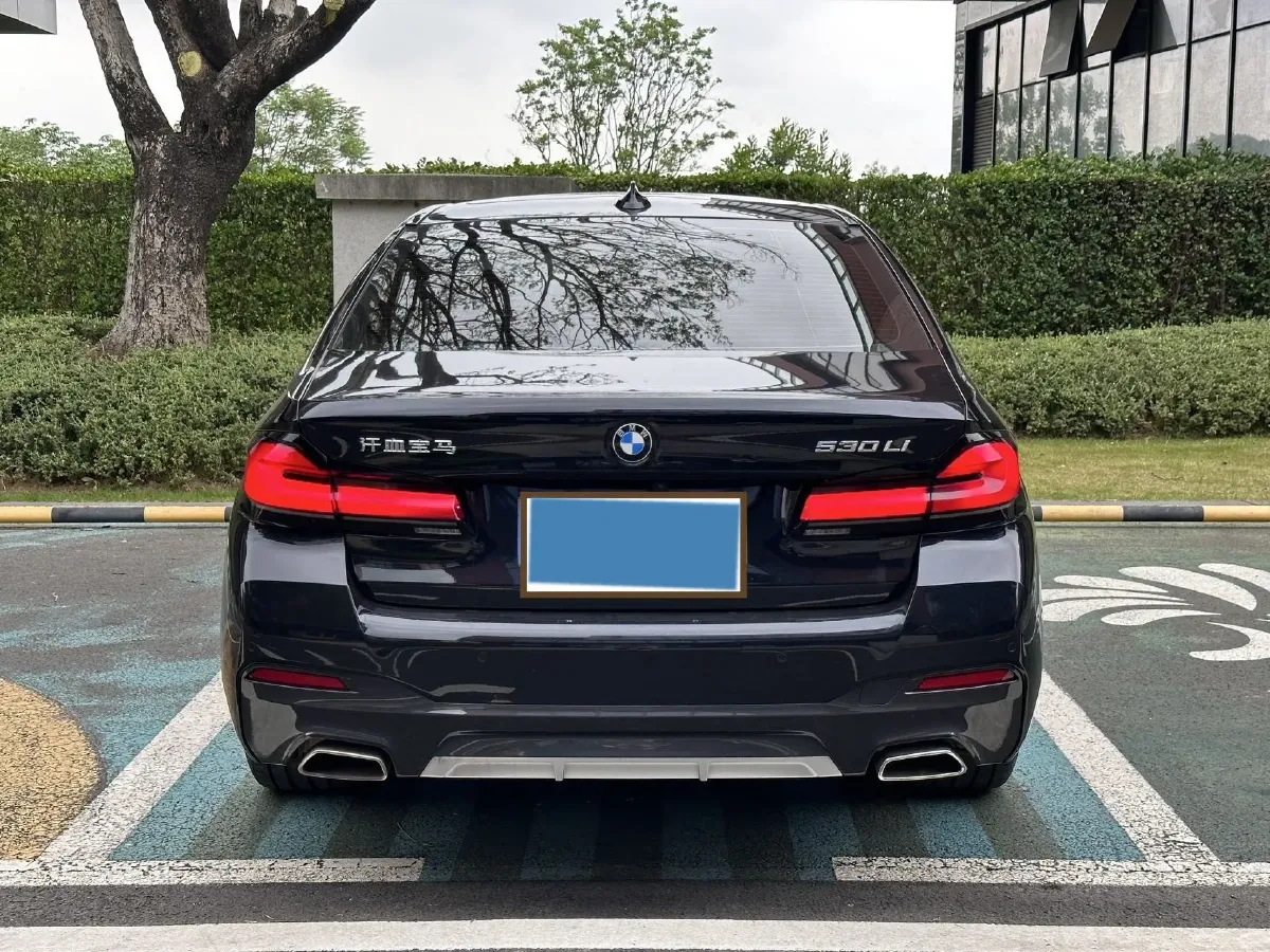 2022 BMW 5 Series 2.0T 252HP L4 8AT,autocango,china used car exporter,china ev exporter,chinese used car exporter,chinese used ev exporter
