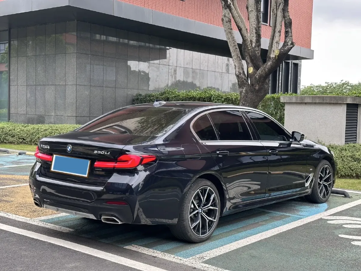 2022 BMW 5 Series 2.0T 252HP L4 8AT,autocango,china used car exporter,china ev exporter,chinese used car exporter,chinese used ev exporter