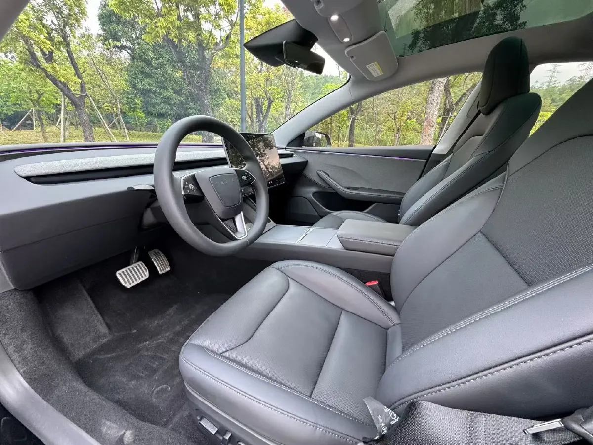 2025 Tesla Model 3 BEV,autocango,china used car exporter,china ev exporter,chinese used car exporter,chinese used ev exporter