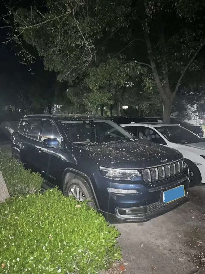2020 Jeep Grand Commander 2.0T 234HP L4 9AT,autocango,china used car exporter,china ev exporter,chinese used car exporter,chinese used ev exporter