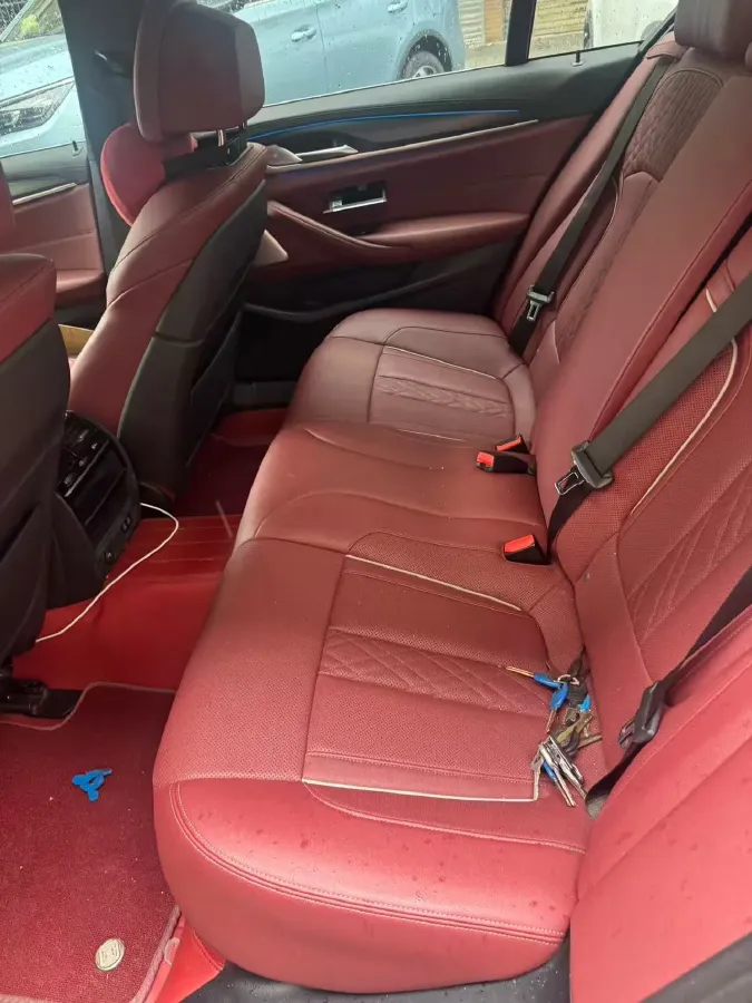 2021 BMW 5 Series 2.0T 184HP L4 8AT PHEV 17.7KWH,autocango,china used car exporter,china ev exporter,chinese used car exporter,chinese used ev exporter