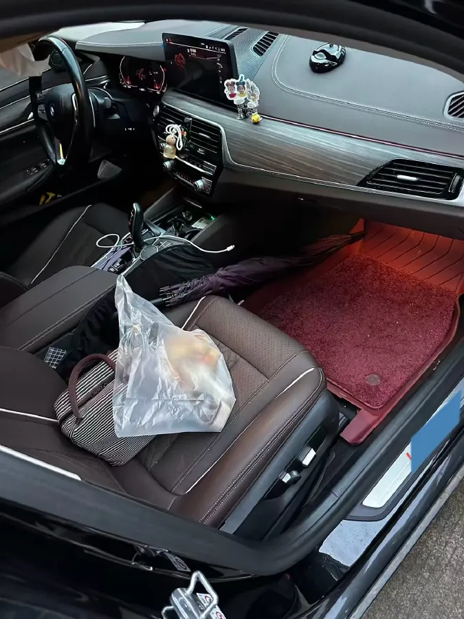 2021 BMW 5 Series 2.0T 252HP L4 8AT,autocango,china used car exporter,china ev exporter,chinese used car exporter,chinese used ev exporter