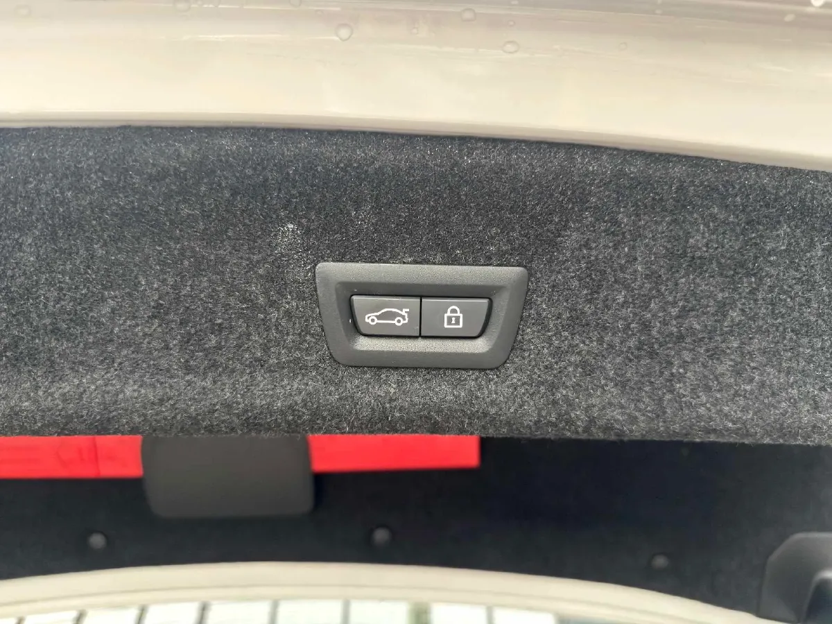 2021 BMW 3 Series 2.0T 184HP L4 8AT,autocango,china used car exporter,china ev exporter,chinese used car exporter,chinese used ev exporter