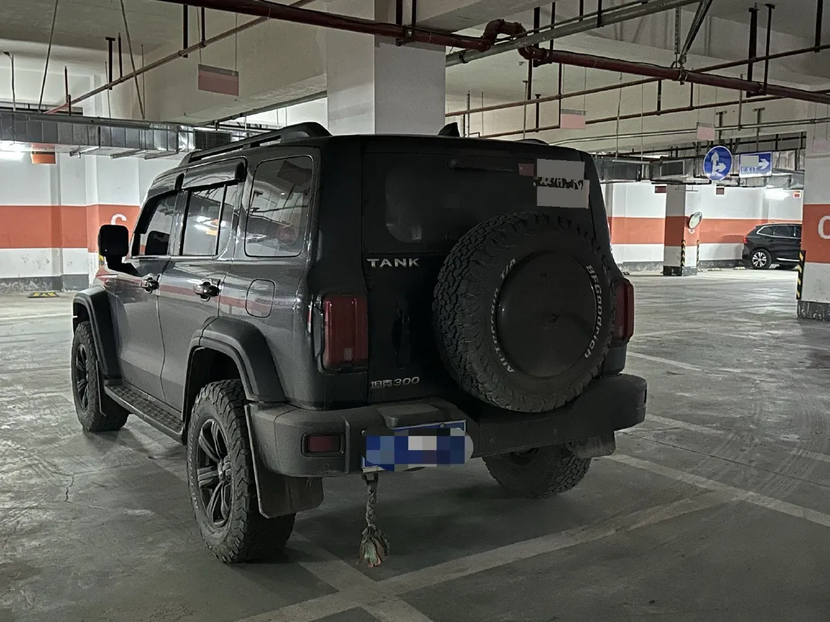 2023 Tank 300 2.0T 227HP L4 8AT,autocango,china used car exporter,china ev exporter,chinese used car exporter,chinese used ev exporter