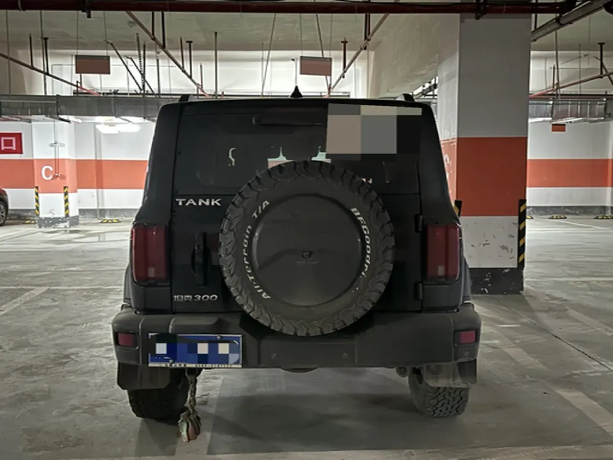 2023 Tank 300 2.0T 227HP L4 8AT,autocango,china used car exporter,china ev exporter,chinese used car exporter,chinese used ev exporter