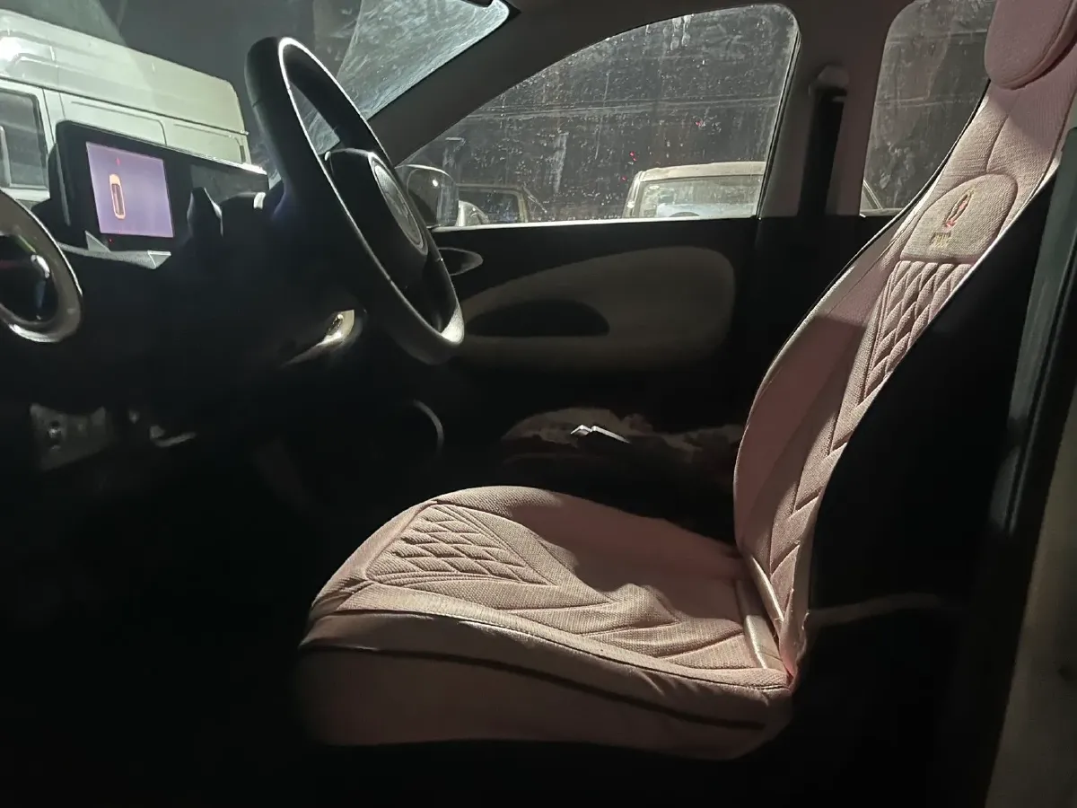 2023 WuLing BinGuo BEV 17.3KWH,autocango,china used car exporter,china ev exporter,chinese used car exporter,chinese used ev exporter