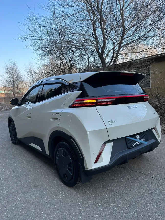 2025 BYD Seagull BEV 30.08KWH,autocango,china used car exporter,china ev exporter,chinese used car exporter,chinese used ev exporter