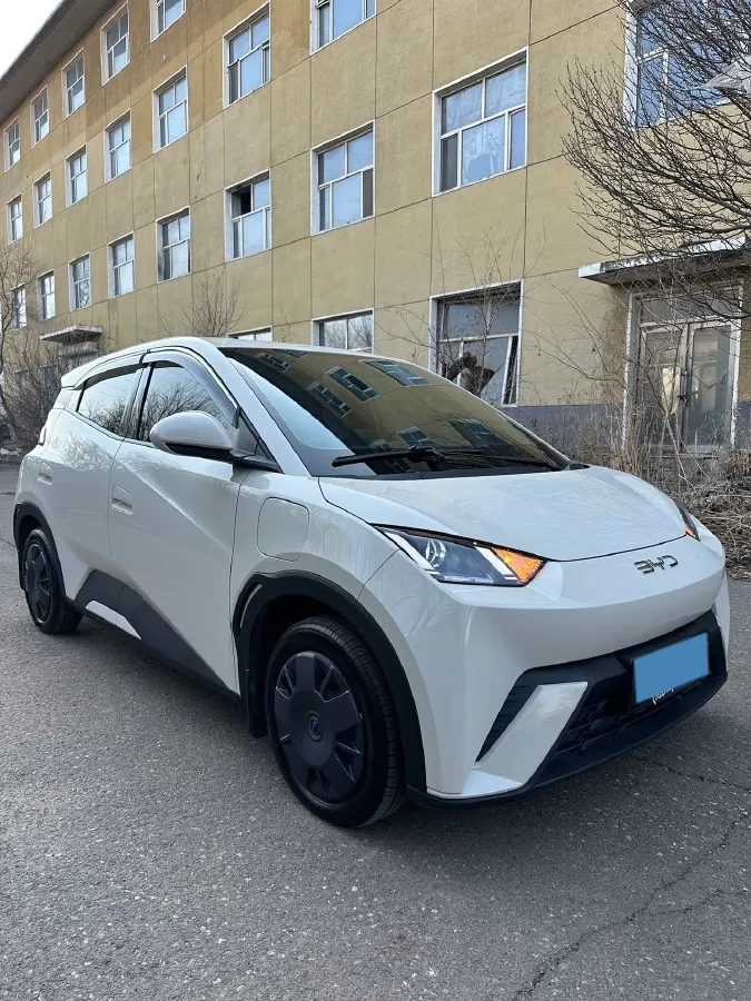 2025 BYD Seagull BEV 30.08KWH,autocango,china used car exporter,china ev exporter,chinese used car exporter,chinese used ev exporter