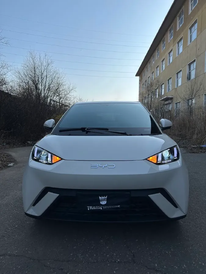 2025 BYD Seagull BEV 30.08KWH,autocango,china used car exporter,china ev exporter,chinese used car exporter,chinese used ev exporter