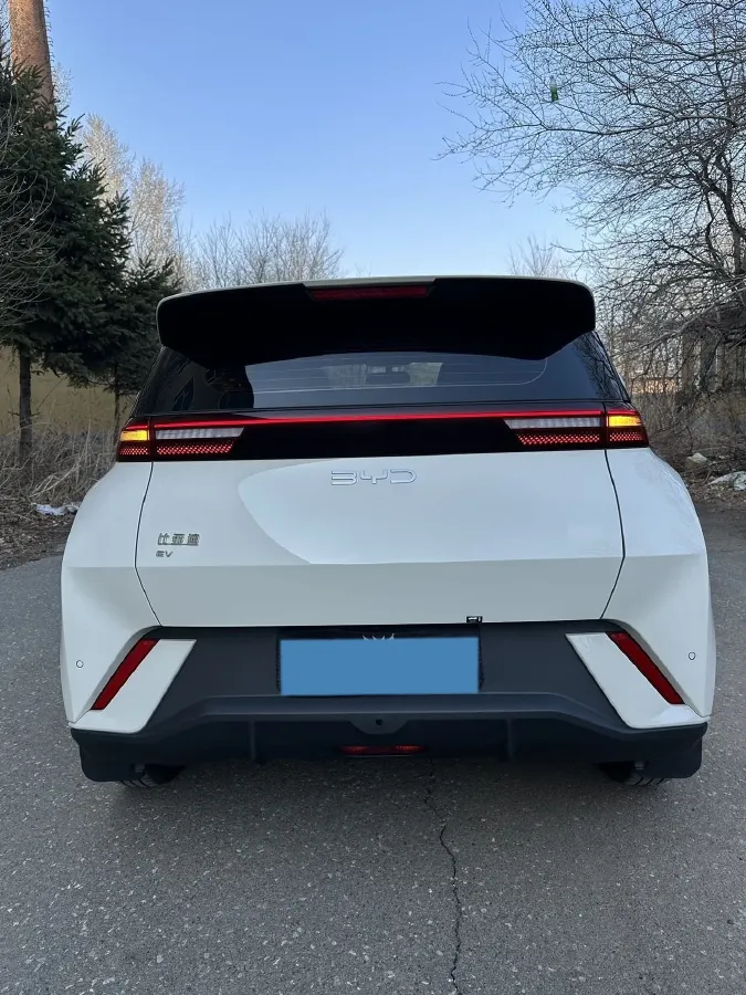 2025 BYD Seagull BEV 30.08KWH,autocango,china used car exporter,china ev exporter,chinese used car exporter,chinese used ev exporter