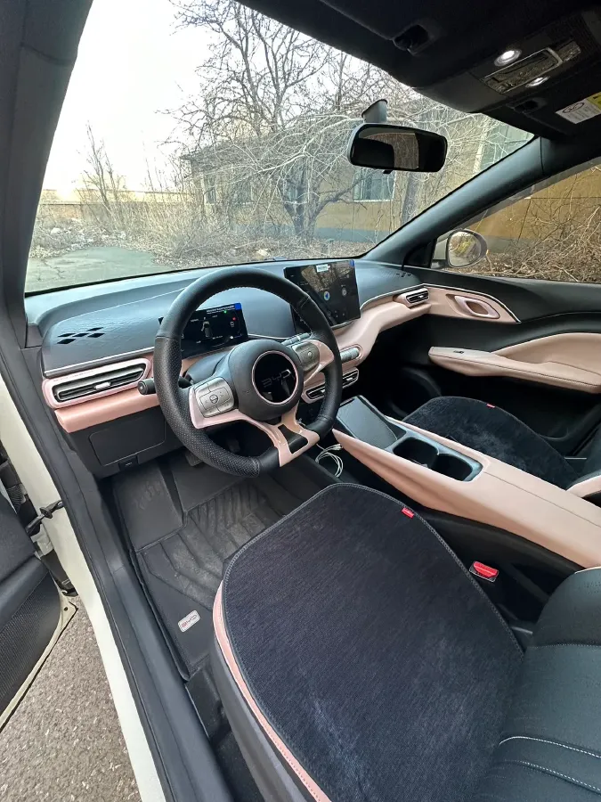 2025 BYD Seagull BEV 30.08KWH,autocango,china used car exporter,china ev exporter,chinese used car exporter,chinese used ev exporter