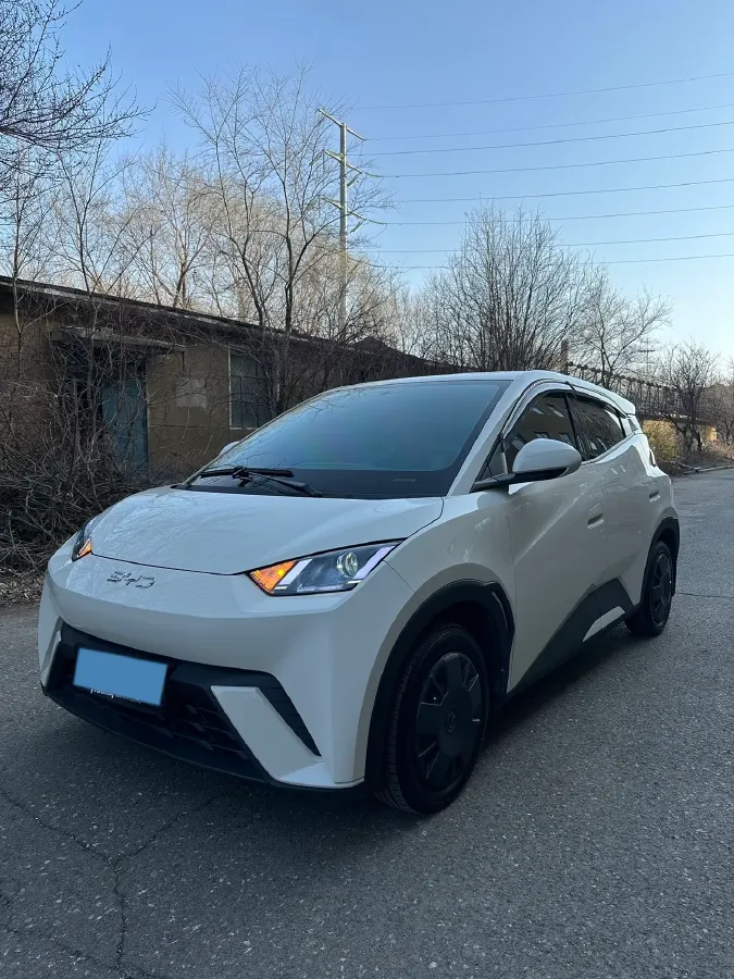 2025 BYD Seagull BEV 30.08KWH,autocango,china used car exporter,china ev exporter,chinese used car exporter,chinese used ev exporter