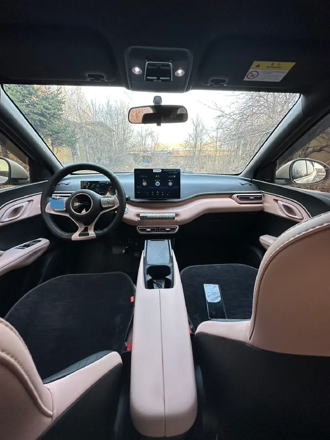 2025 BYD Seagull BEV 30.08KWH,autocango,china used car exporter,china ev exporter,chinese used car exporter,chinese used ev exporter