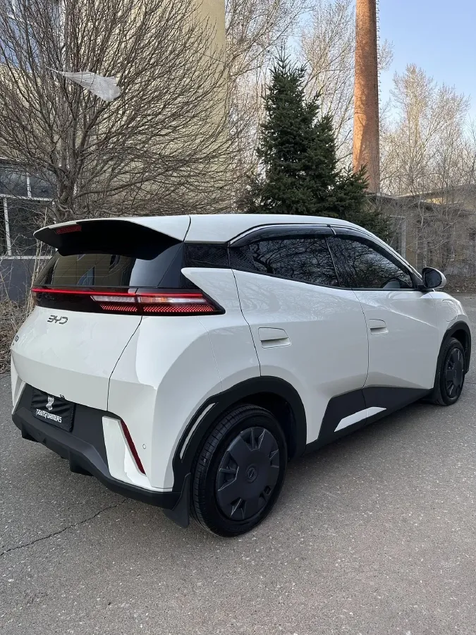 2025 BYD Seagull BEV 30.08KWH,autocango,china used car exporter,china ev exporter,chinese used car exporter,chinese used ev exporter