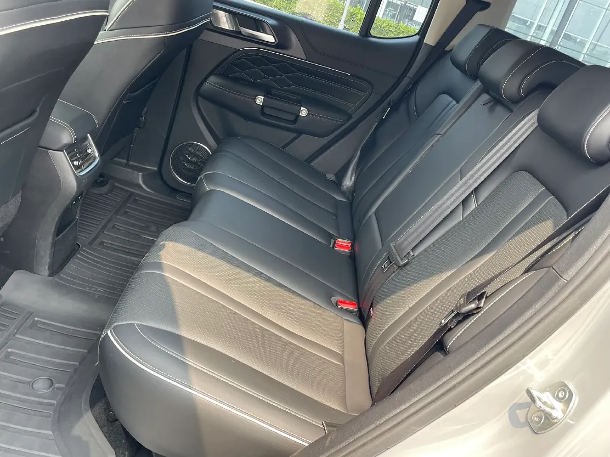 2021 Tank 300 2.0T 227HP L4 8AT,autocango,china used car exporter,china ev exporter,chinese used car exporter,chinese used ev exporter