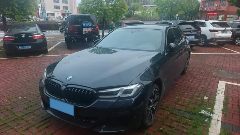 2021 BMW 5 Series 2.0T 252HP L4 8AT,autocango,china used car exporter,china ev exporter,chinese used car exporter,chinese used ev exporter