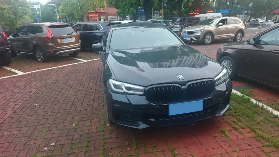 2021 BMW 5 Series 2.0T 252HP L4 8AT,autocango,china used car exporter,china ev exporter,chinese used car exporter,chinese used ev exporter