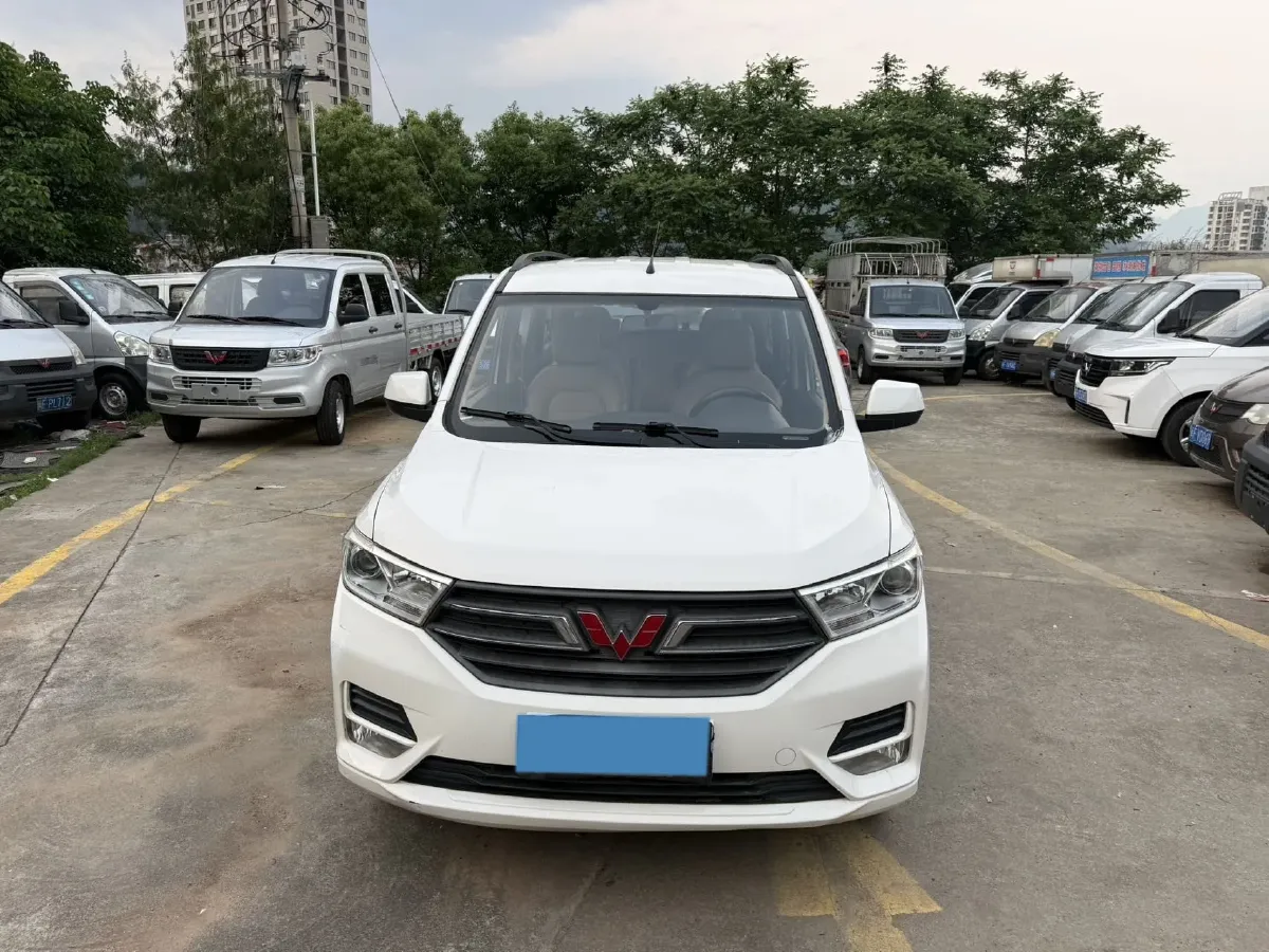 2019 WuLing HongGuang 1.5L 99HP L4 6MT,autocango,china used car exporter,china ev exporter,chinese used car exporter,chinese used ev exporter