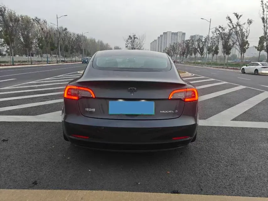 2020 Tesla Model 3 BEV 52KWH,autocango,china used car exporter,china ev exporter,chinese used car exporter,chinese used ev exporter