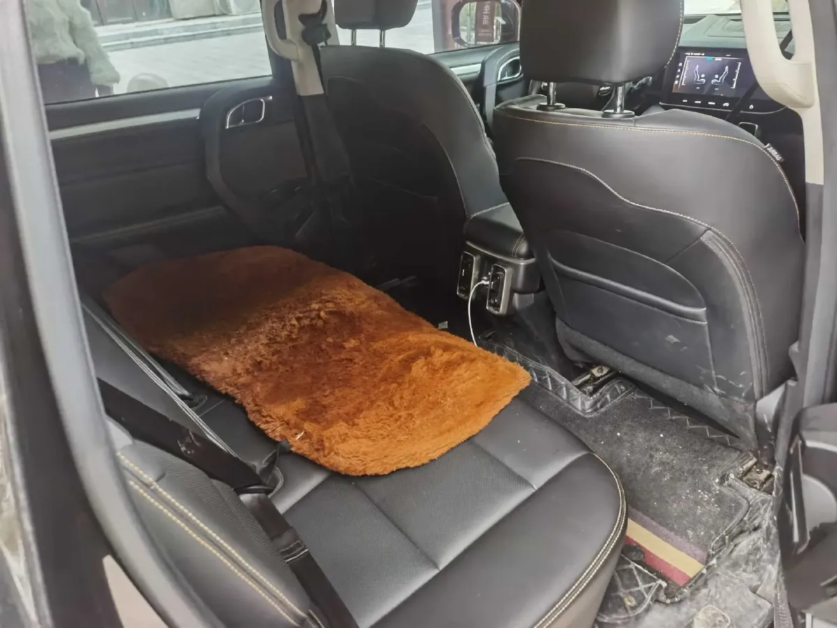 2021 Haval Dargo 2.0T 211HP L4 7DCT,autocango,china used car exporter,china ev exporter,chinese used car exporter,chinese used ev exporter