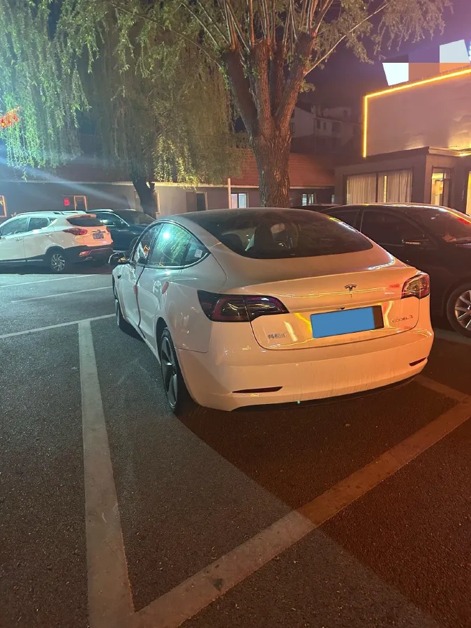 2022 Tesla Model 3 BEV 60KWH,autocango,china used car exporter,china ev exporter,chinese used car exporter,chinese used ev exporter