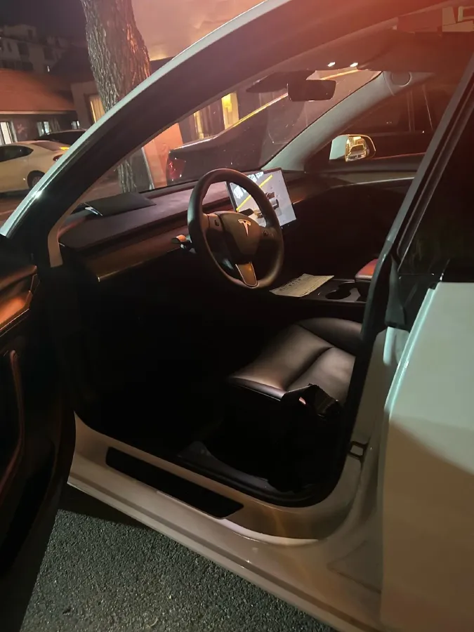 2022 Tesla Model 3 BEV 60KWH,autocango,china used car exporter,china ev exporter,chinese used car exporter,chinese used ev exporter